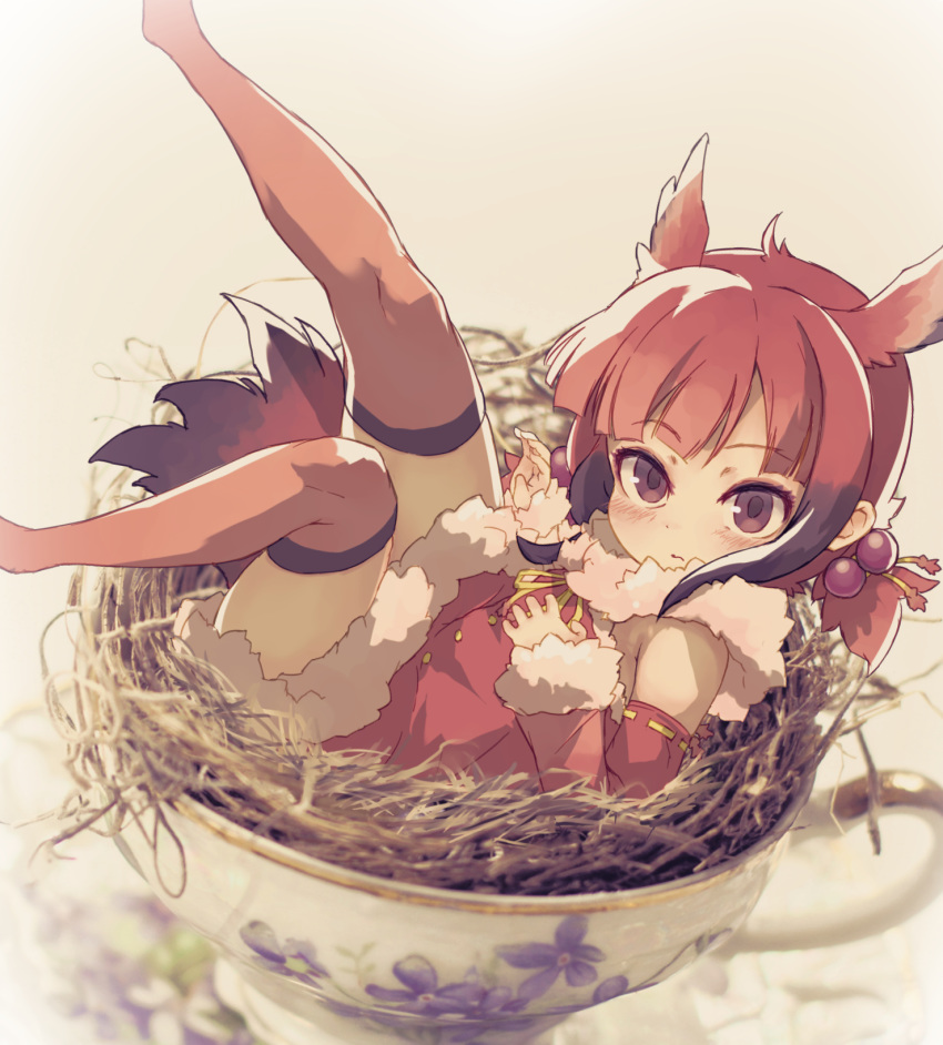 bare_shoulders bird_nest bird_tail bird_wings black_hair blush commentary_request cup detached_sleeves female fur_trim hair_bobbles hair_ornament head_wings highres in_nest jacket kemono_friends kolshica multicolored_hair neck_ribbon nest pink_thighhighs purple_eyes red_hair red_jacket red_sleeves ribbon scarlet_ibis_(kemono_friends) short_hair short_twintails sidelocks solo tail thighhighs twintails wings yellow_ribbon zettai_ryouiki