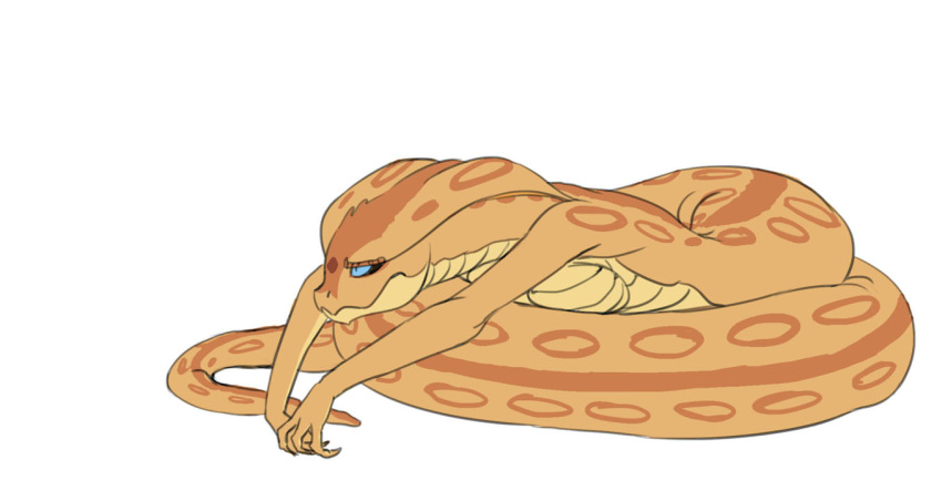 2015 annoyed apode belly_scales blue_eyes bored breasts carniscorner coiling draconcopode eyebrows facial_scales female full-length_portrait legless long_tail markings naga non-mammal_breasts nude orange_body orange_scales portrait reptile sarissa_(siansaar) scale_eyebrows scales scalie serpentine simple_background snake snake_hood snout solo tail viper_(x-com) white_background x-com