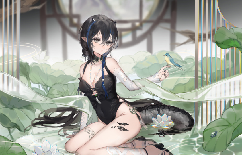 arknights bare_shoulders bird bird_on_hand black_footwear black_hair black_nails black_one-piece_swimsuit blacknight_(arknights) blacknight_(summer_flower)_(arknights) blue_hair braid breasts casual_one-piece_swimsuit cleavage covered_navel detached_sleeves female green_theme grey_eyes high_heels highres horns jewelry kunguiyuzhimeng lattice long_hair long_sleeves material_growth mole mole_under_eye multicolored_hair nail_polish necklace official_alternate_costume one-piece_swimsuit oripathy_lesion_(arknights) parted_lips plant pointy_ears round_window scales shawl side_braid sitting solo swimsuit tail tassel thighlet two-tone_hair very_long_hair window yokozuwari