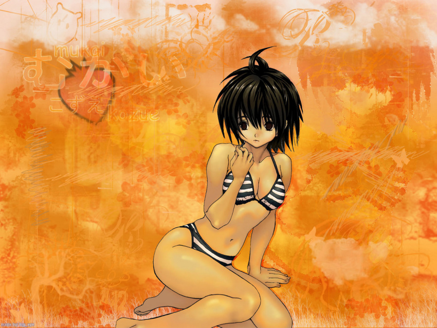 bikini brown_eyes brown_hair ichigo_100 mukai_kozue swimsuit