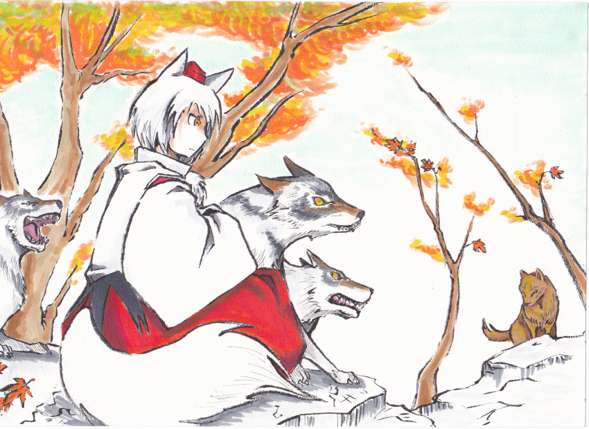 animal_ears bad_id bad_pixiv_id female hat highres inubashiri_momiji leaf maple_leaf sitting solo tokin_hat touhou tsukasa-emon white_hair wolf wolf_ears yellow_eyes