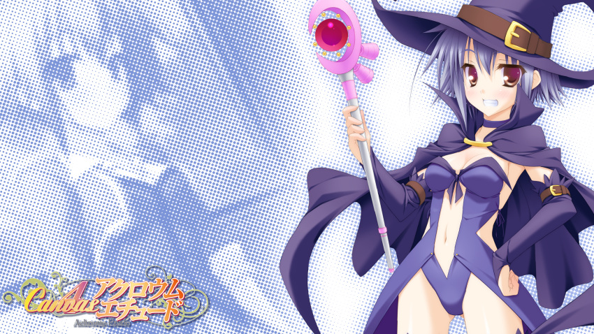 canvas_4 cleavage f&c leotard minase_(dragon_panda) shinonome_anzu wallpaper witch