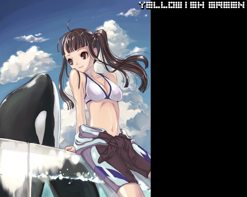 bikini bikini_top_only bodysuit breasts brown_eyes brown_hair cleavage day diving_suit female kimidorin long_hair medium_breasts midriff navel orca original ponytail solo swimsuit wetsuit white_bikini