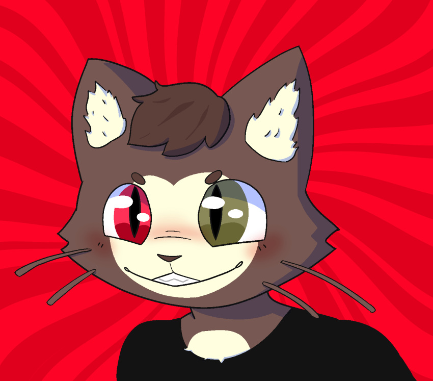 anthro black_clothing black_shirt black_topwear blush brown_body brown_fur chest_tuft clothing domestic_cat felid feline felis fur heterochromia hi_res inner_ear_fluff kralex male mammal mischievous_smile shirt solo topwear tuft undnift whiskers