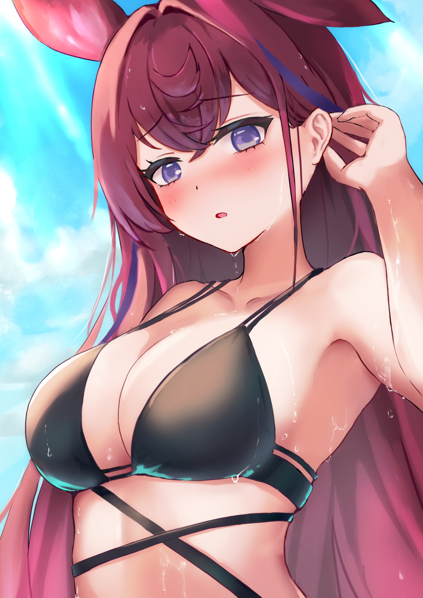 absurdres animal_ears arknights bikini black_bikini blush breasts cleavage collarbone commentary crossed_bangs day female hair_flip hair_intakes hand_in_own_hair hand_up highres hiun64 large_breasts long_hair looking_at_viewer multicolored_hair outdoors parted_lips pink_hair purple_eyes purple_hair ray_(arknights) solo streaked_hair sunlight swimsuit upper_body wet