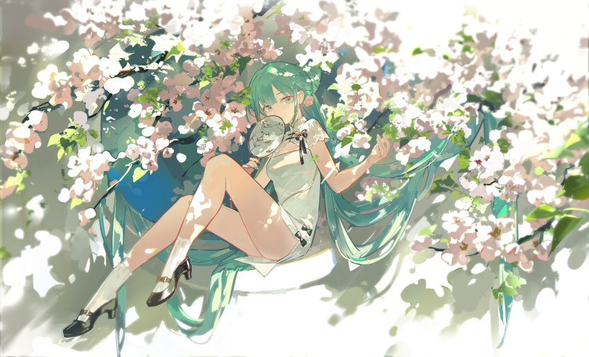 aqua_eyes aqua_hair aqua_nails black_footwear blunt_bangs cherry_blossoms china_dress chinese_clothes closed_mouth commentary dress female full_body hand_fan hands_up hashtag-only_commentary hatsune_miku high_heels highres holding holding_fan knees_up light_smile looking_at_viewer mento shaohua_hatsune_miku short_sleeves sitting socks solo transparent_fan tree tuanshan vocaloid white_dress white_socks