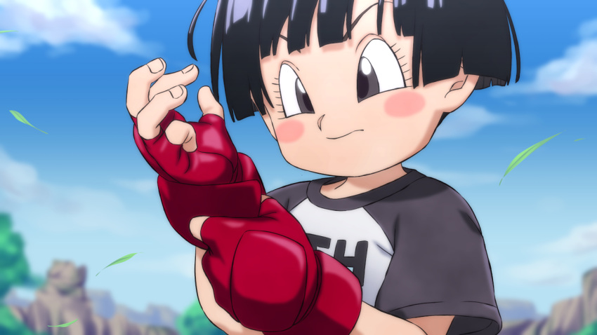 black_hair blue_sky blush_stickers closed_mouth cloud dragon_ball dragon_ball_super dragon_ball_super_super_hero female gloves grey_eyes leaf lolicon outdoors pan_(dragon_ball) putting_on_gloves red_gloves rom_(20) shirt short_hair short_sleeves sky solo t-shirt upper_body very_short_hair