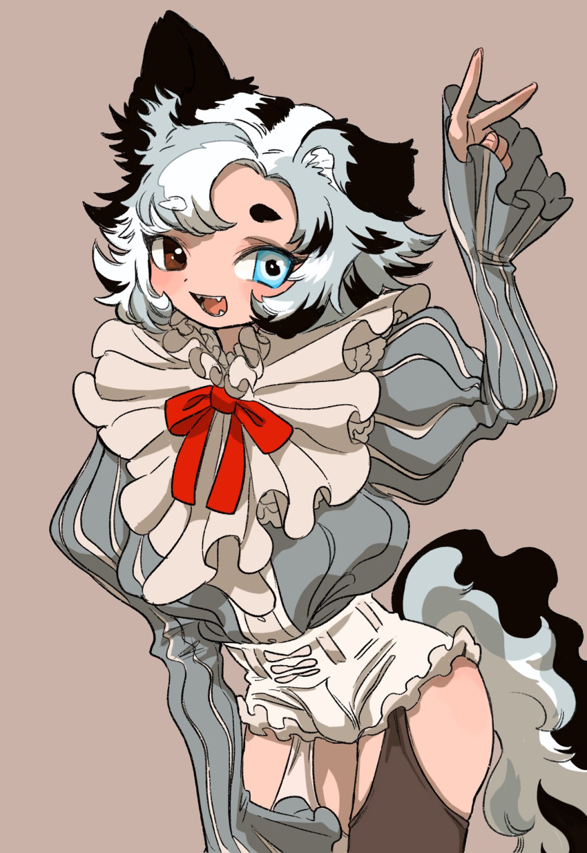 1boy animal_ears black_hair blue_eyes brown_background brown_eyes brown_thighhighs commentary_request cowboy_shot dog_boy dog_ears dog_tail ear_down fangs frilled_shirt_collar frills grey_hair grey_shirt hand_up heterochromia highres juliet_sleeves long_sleeves male_focus mismatched_thighhighs multicolored_hair neck_ribbon open_mouth original otoko_no_ko puffy_sleeves red_ribbon ribbon shima_(wansyon144) shirt short_eyebrows short_shorts shorts simple_background solo streaked_hair tail thighhighs v white_hair white_shorts white_thighhighs