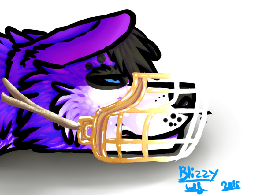 4:3 anthro black_hair blizzywolf canid canine canis domestic_dog elkhound footprint fur hair headshot_portrait lying male mammal markings muzzle_(object) muzzled pawalo pawprint pawprint_(marking) portrait purple_body purple_fur snout solo spitz wire_basket_muzzle