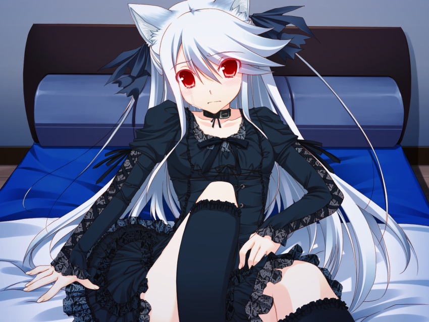 animal_ears blush bow cosplay crying dress foxgirl goth-loli kisumi kneehighs long_hair mimasaka_alice ore_no_kanojo_wa_hito_de_nashi photoshop red_eyes ribbons takanae_kyourin tears white_hair