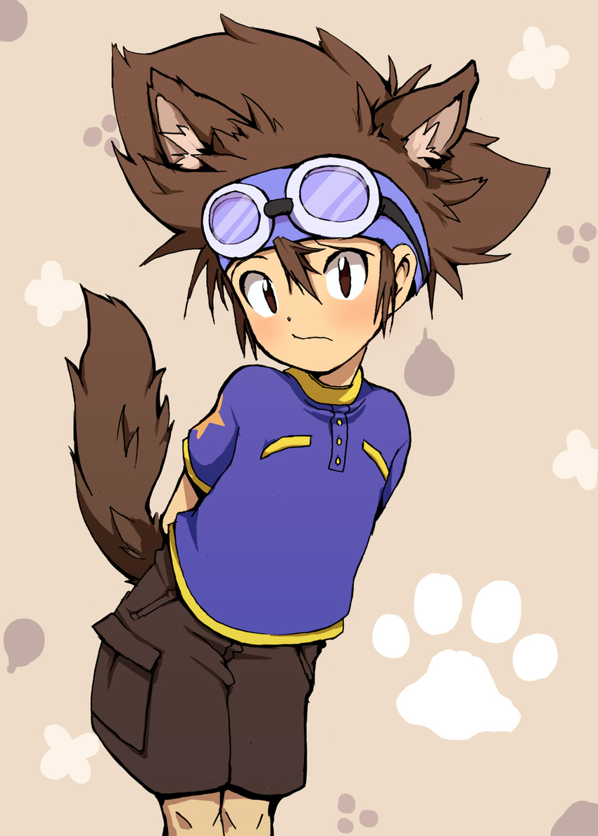 1boy animal_ears bad_id bad_pixiv_id blush brown_hair commentary_request digimon digimon_adventure dog_boy dog_ears dog_tail goggles highres male_focus okome_(kome_kuma) paw_print solo tail yagami_taichi