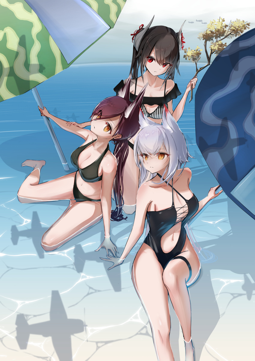 3girls absurdres aircraft animal_ear_fluff animal_ears azur_lane bikini black_bikini black_one-piece_swimsuit branch breasts cleavage closed_mouth collarbone commentary_request fox_ears fox_girl haruna_(azur_lane) highres holding holding_branch horns hyuuga_(azur_lane) ise_(azur_lane) large_breasts multiple_girls navel one-piece_swimsuit red_eyes ryosuke1225 silhouette sitting small_breasts stomach swimsuit thigh_strap tiger_ears tiger_girl water yellow_eyes