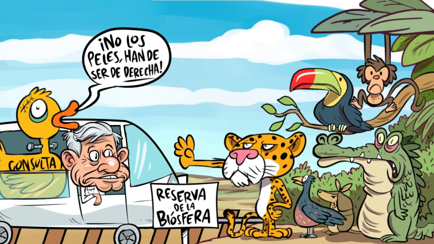 16:9 ambiguous_gender anatid andres_manuel_lopez_obrador anseriform armadillo atelid avian bird blue_sky crocodile crocodilian crocodylid duck environmentalism felid forest group haplorhine human jaguar jungle male mammal mexico monkey new_world_monkey old_man pantherine plant political_cartoon politics primate real_world reptile sad scalie sky spider_monkey toucan train tree tren_maya unknown_artist vehicle widescreen xenarthran