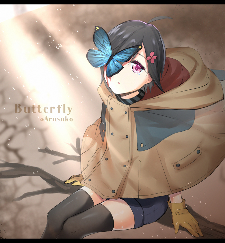 ahoge artist_name arusuko black_hair black_thighhighs blue_butterfly branch brown_coat bug butterfly coat female gloves hair_over_one_eye highres hijiriido_miyo hondoumachi_koharu hood hood_down id_:invaded letterboxed looking_at_viewer photoshop_(medium) purple_eyes short_hair shorts sitting solo sunlight thighhighs yellow_gloves