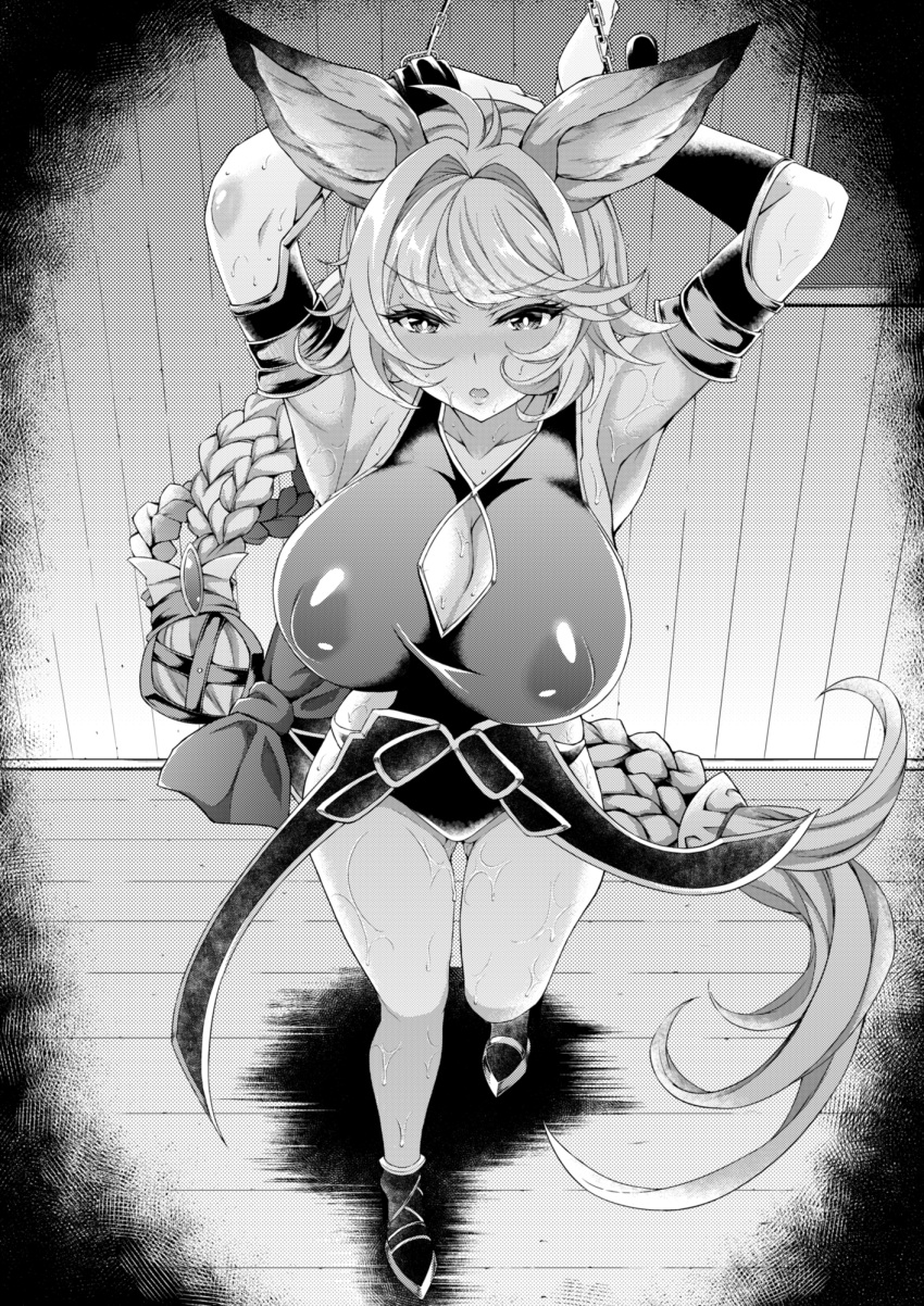 animal_ears armpits ass_visible_through_thighs bare_back bound bound_wrists braid braided_ponytail breasts breath cat_ears clarisse_(granblue_fantasy) covered_nipples erune fukunaga_yukito granblue_fantasy greyscale hair_ribbon highres large_breasts long_braid long_hair monochrome neglect_play ribbon skindentation sweat thick_thighs thighs tien_(granblue_fantasy) trembling wet