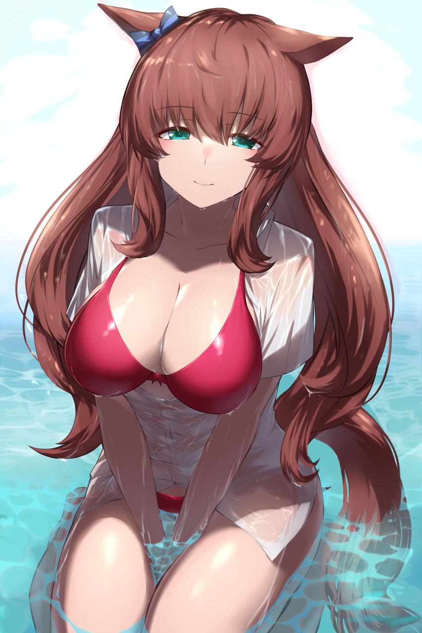 absurdres animal_ears between_legs bikini blush bow breasts brown_hair ear_bow female green_eyes hand_between_legs highres horse_ears horse_girl horse_tail large_breasts long_hair looking_at_viewer maruzensky_(umamusume) open_clothes outdoors partially_submerged red_bikini saikuu see-through see-through_shirt shirt sitting smile solo swimsuit tail umamusume wariza water wet wet_clothes wet_shirt white_shirt