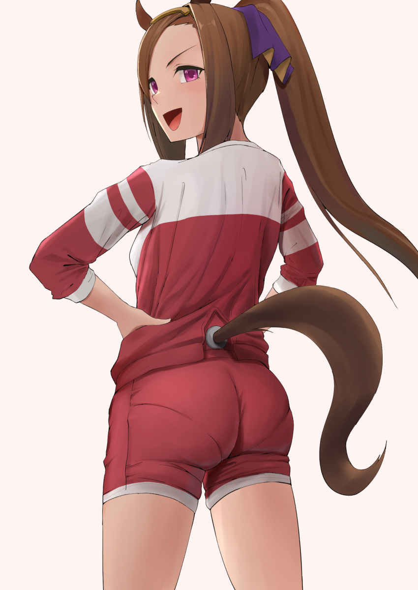 animal_ears ass gym_uniform sakura_bakushin_o_(umamusume) tagme tail uma_musume_pretty_derby