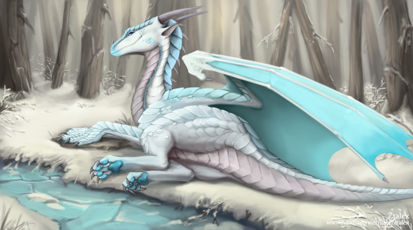 back_spikes blue_body blue_membrane blue_pawpads blue_scales claws dragon european_mythology feral finger_claws forest forest_background grey_claws grey_horn hi_res horn ice long_neck looking_at_viewer madloc male membrane_(anatomy) membranous_wings mythological_creature mythological_scalie mythology nature nature_background pawpads plant scales scalie scaly_tail snow solo spikes spikes_(anatomy) tail toe_claws tree western_dragon white_body white_scales wings ztalex