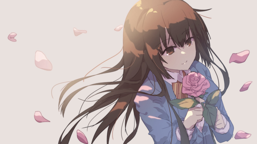 blue_jacket bow brown_background brown_bow brown_eyes brown_hair closed_mouth collared_shirt commentary diagonal_stripes female flower hair_between_eyes highres holding holding_flower houzuki_satowa jacket kono_oto_tomare! long_hair long_sleeves looking_away mo_(pixiv9929995) petals photoshop_(medium) pink_flower pink_rose rose shirt simple_background smile solo striped striped_bow upper_body very_long_hair white_shirt