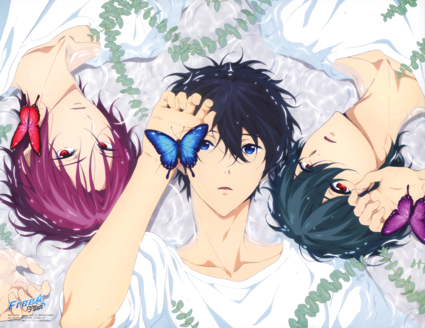 all_male black_hair blue_eyes butterfly free! male matsuoka_rin nanase_haruka red_eyes red_hair tachibana_makoto