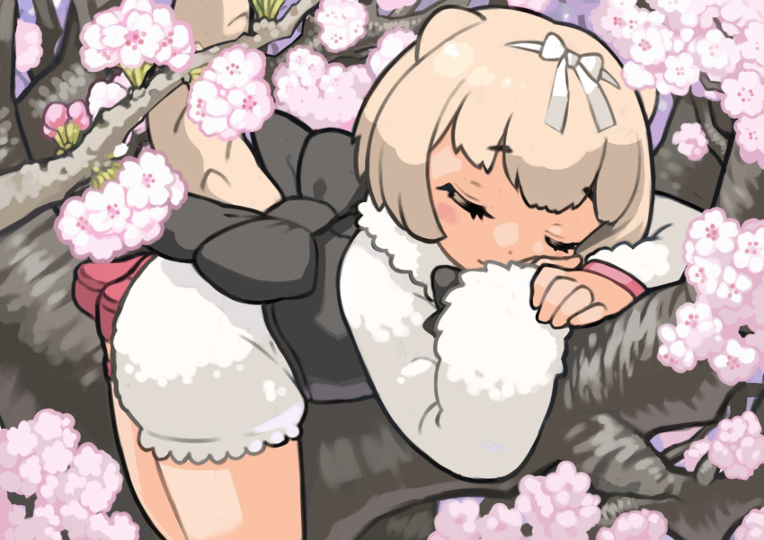 blonde_hair blush_stickers branch closed_eyes commentary_request female flower highres in_tree kemono_friends long_sleeves pink_footwear puffy_shorts rinx shirt shoes short_hair shorts silky_anteater_(kemono_friends) sleeping solo tail tree white_shirt white_shorts