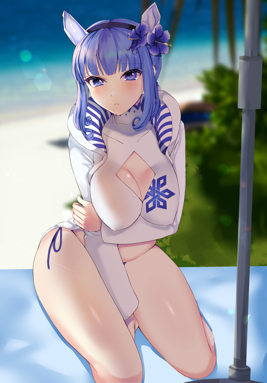 absurdres alternate_costume beach bikini blue_eyes blue_hair blunt_bangs blurry blurry_background blush breasts cleavage cleavage_cutout closed_mouth clothing_cutout commentary_request covered_collarbone female fire_emblem fire_emblem_heroes flower hair_between_eyes hair_flower hair_ornament highres horns ice_horns jacket kneeling large_breasts long_sleeves looking_at_viewer nifl_(fire_emblem) nifl_(summer)_(fire_emblem) official_alternate_costume open_clothes open_jacket outdoors purple_flower sand short_hair sidelocks sitting solo swimsuit tara_(szzj7733) thighs tiara white_bikini white_jacket