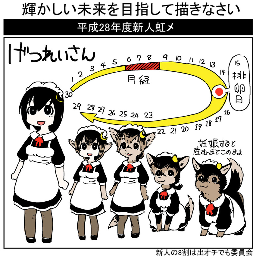 1:1 2016 anthro canid canine canis clothing domestic_dog female feral futaba_channel horihone_saizou human humanoid hybrid img_(futaba) japanese_text maid_apron maid_headdress maid_uniform mammal nijiura_maids solo template text transformation transformation_mechanism transformation_sequence translated uniform