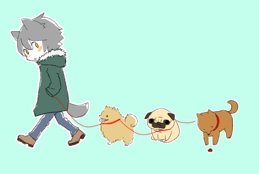 1boy animal animal_ears aqua_background bug canine coat commentary denim dex_(vocaloid) fox_ears fox_tail fur_trim green_coat grey_hair hands_in_pockets highres jam_kl jeans ladybug leash male_focus pants pet_walking pomeranian_(dog) pug simple_background solo symbol-only_commentary tail vocaloid walking yellow_eyes