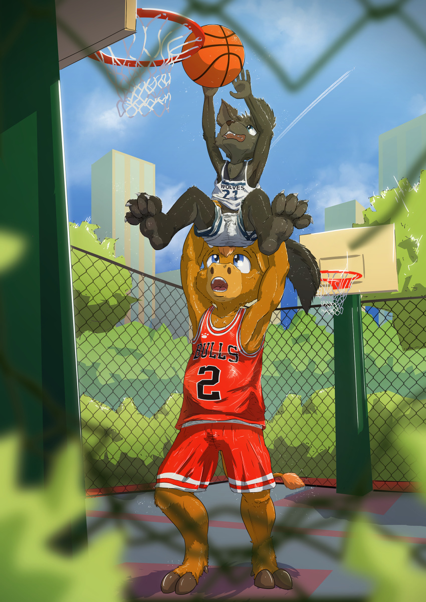 2018 4_toes absurd_res anthro ball basketball basketball_(ball) basketball_hoop basketball_uniform black_body black_fur blue_eyes bodily_fluids bottomwear bovid bovine brown_body brown_fur canid canine canis carrying_another cattle chadbull chicago_bulls claws clothed clothing competition_number dakka dakkawoof duo fangs feet fur hi_res jersey lifted male mammal minnesota_timberwolves nba number number_on_clothing number_on_jersey number_on_topwear number_print open_mouth outside paws print_clothing print_jersey print_topwear shorts sportswear spread_legs spreading standing sweat teeth text text_on_clothing text_on_jersey text_on_topwear text_print toes topwear uniform wolf young young_anthro