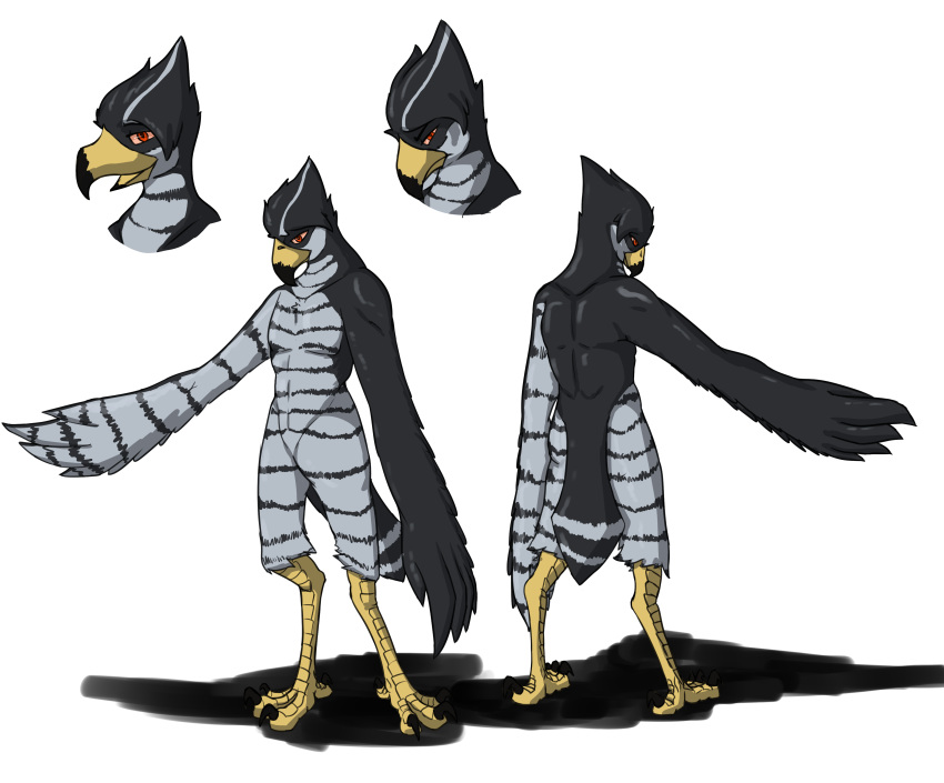 4_toes absurd_res accipitrid accipitriform anisodactyl anthro avian beak bird clip_studio_paint_(artwork) digital_media_(artwork) father_hill feathers feet goshawk hi_res male model_sheet nude solo talons toes