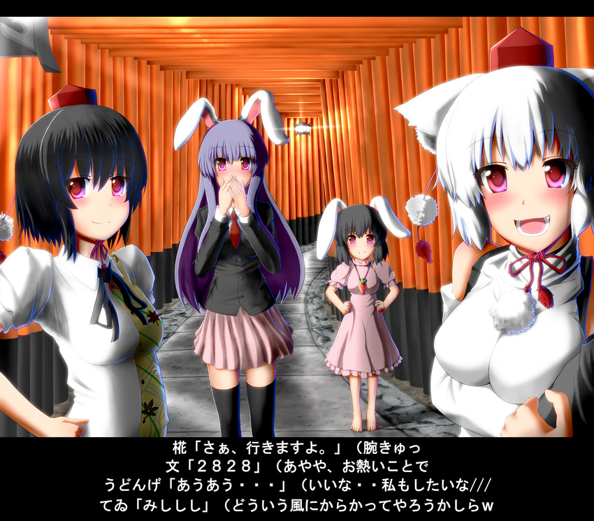 4girls animal_ears barefoot black_hair black_thighhighs blazer commentary_request fushimi_inari_taisha hat highres inaba_tewi inubashiri_momiji jacket long_hair multiple_girls multiple_torii necktie partial_commentary purple_hair rabbit_ears red_eyes reisen_udongein_inaba shameimaru_aya short_hair thighhighs tokin_hat torii touhou translated u.s.m.c white_hair wolf_ears