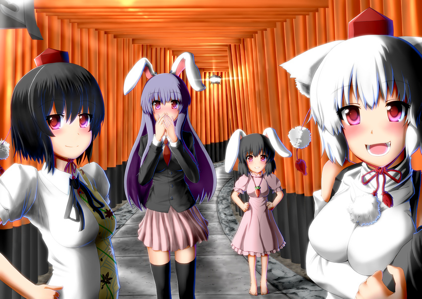 4girls animal_ears barefoot black_hair black_thighhighs blazer commentary_request fushimi_inari_taisha hat highres inaba_tewi inubashiri_momiji jacket long_hair multiple_girls multiple_torii necktie partial_commentary purple_hair rabbit_ears red_eyes reisen_udongein_inaba shameimaru_aya short_hair thighhighs tokin_hat torii touhou u.s.m.c white_hair wolf_ears