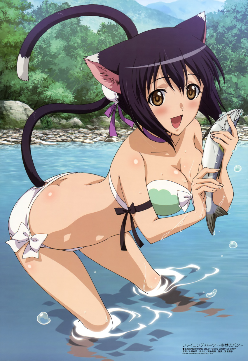 absurdres animal_ears bikini black_hair blush breasts brown_eyes cat_ears cat_tail cleavage female fish highres imageboard_desourced large_breasts megami_magazine non-web_source official_art open_mouth river scan shaomei_rin shining_(series) shining_hearts side-tie_bikini_bottom solo swimsuit tail wading water yahiro_yuuko