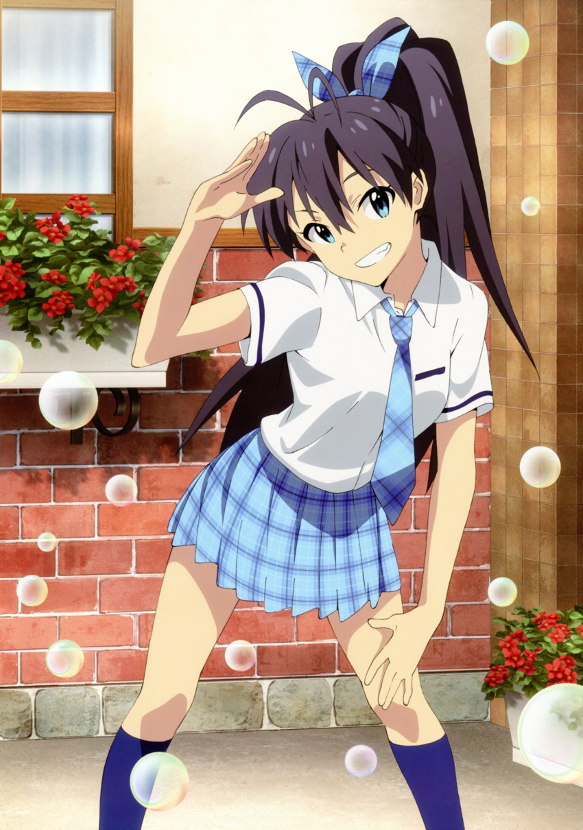 absurdres akai_toshifumi black_hair blue_eyes blue_socks bubble female flower ganaha_hibiki grin hand_on_own_knee highres idolmaster idolmaster_(classic) kneehighs leaning_forward looking_at_viewer necktie official_art photoshop_(medium) plaid plaid_necktie plaid_skirt pleated_skirt ponytail rough_time_school_(idolmaster) scan school_uniform skirt smile socks solo wide_ponytail