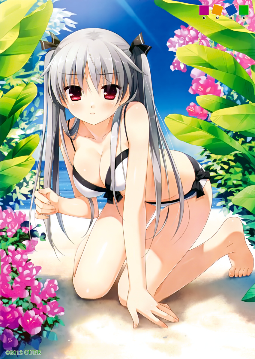 absurdres barefoot beach bikini blush breasts cleavage collarbone day female flower full_body grey_hair highres kanekiyo_miwa kneeling kurano_kun_chi_no_futago_jijou kurano_tomoka large_breasts long_hair looking_at_viewer outdoors red_eyes scan side-tie_bikini_bottom simple_background solo swimsuit twintails water