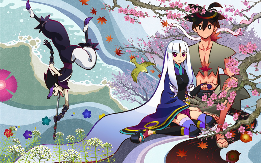 bird katanagatari maniwa_koumori snake togame yasuri_shichika