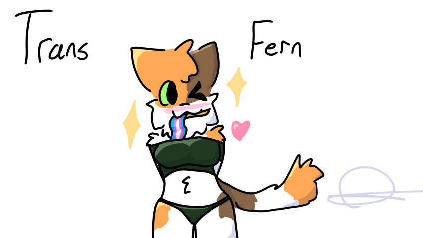 16:9 anthro blush breasts brown_body brown_fur calico_cat clothing crop_top domestic_cat felid feline felis female fern_(floofyfern) floofyfern fur green_clothing hands_behind_back heart_symbol hi_res lgbt_pride looking_at_viewer mammal multicolored_body multicolored_fur one_eye_closed orange_body orange_fur panties pride_colors rainbow_flag rainbow_pride_flag rainbow_symbol shirt solo text topwear transgender_pride_colors underwear widescreen wink winking_at_viewer