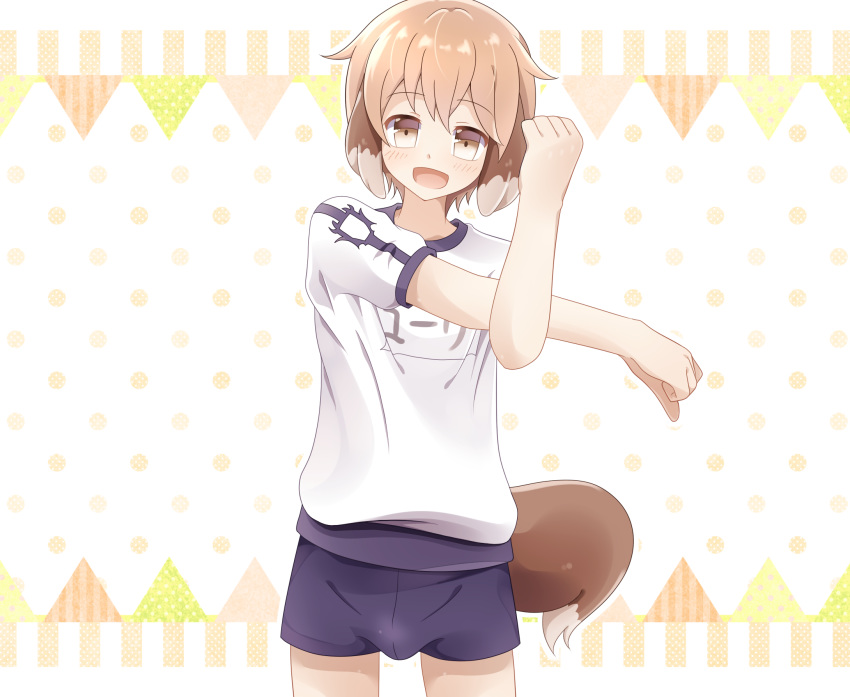 1boy animal_ears blush brown_eyes brown_hair bulge character_name cross-body_stretch daisuke_(9156281) dog_boy dog_ears dog_tail gym_uniform highres male_focus open_mouth pop-up_story short_shorts shorts solo stretching tail yuuri_lessen