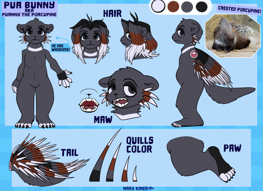 anthro bardo_en_krisis biped english_text flat_colors full-length_portrait hair headshot_portrait hi_res loose_feather mammal model_sheet open_mouth paws photo porcupine portrait quill rodent solo text whiskers