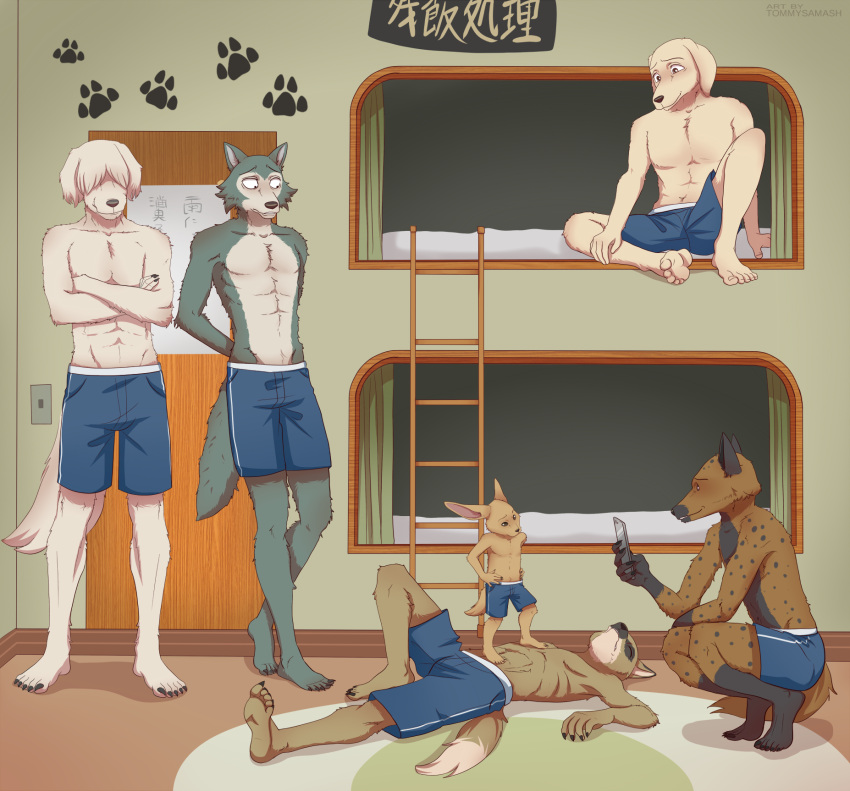 2021 5_fingers 5_toes abs anthro athletic athletic_anthro athletic_male barefoot beastars bed bird_dog blue_bottomwear blue_clothing blue_shorts bottomwear brown_body brown_fur canid canine canis cellphone cherryton_academy claws closed_eyes clothed clothing collot_(beastars) coyote crouching defeated digital_media_(artwork) domestic_dog dormitory durham_(beastars) electronics feet fennec_fox finger_claws fingers fluffy_ears foot_on_chest foot_on_stomach fox fur furniture grey_body grey_fur group hair hair_over_eyes hand_on_hip hand_on_own_hip herding_dog hi_res humanoid_feet humanoid_hands hunting_dog hyena jack_(beastars) labrador ladder legoshi_(beastars) looking_at_another lying male mammal markings miguno_(beastars) multicolored_body multicolored_fur old_english_sheepdog on_back on_bed on_ground on_model pastoral_dog pecs phone plantigrade retriever room_701 roommate sheepdog shorts shorts_only signature sitting sitting_on_bed smartphone smile soles spots spotted_body spotted_fur spotted_hyena standing story story_in_description taking_picture tan_body tan_fur toe_claws toes tommysamash topless topless_male true_fox two_tone_body two_tone_fur unconscious victory voss_(beastars) white_body white_fur wolf worried