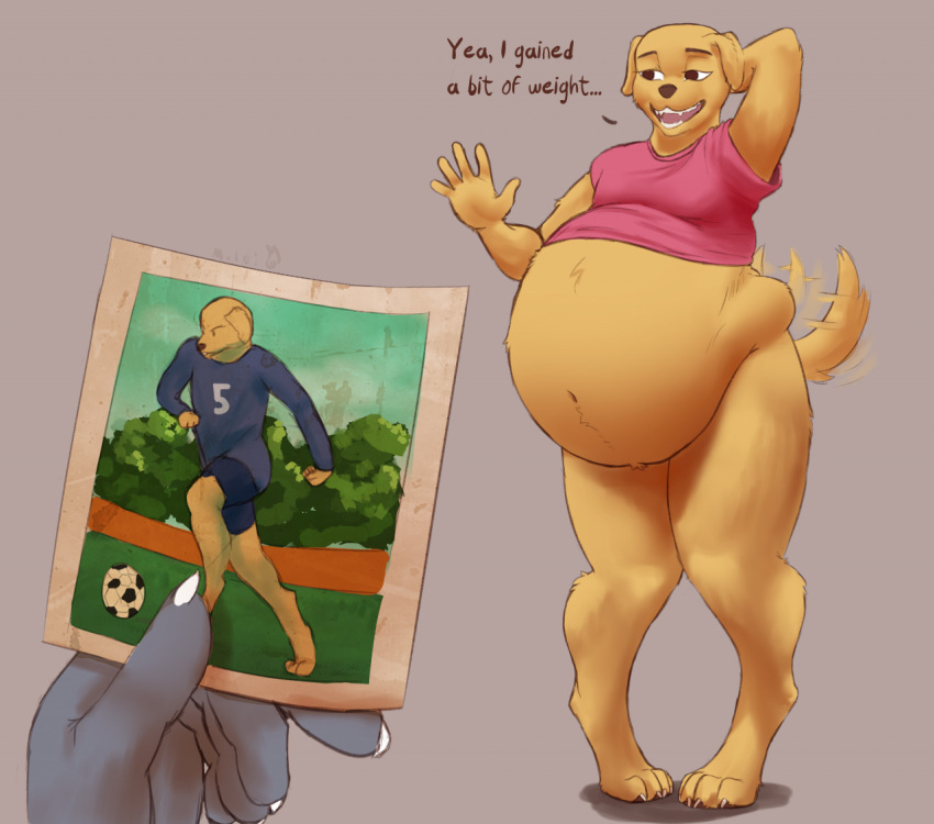 2022 ambiguous_gender anthro before_and_after belly big_belly bird_dog canid canine canis domestic_dog english_text fit_to_fat hunting_dog labrador mammal muldithekobold obese obese_ambiguous obese_anthro overweight overweight_ambiguous overweight_anthro photo retriever simple_background solo tail tail_motion tailwag text weight_gain