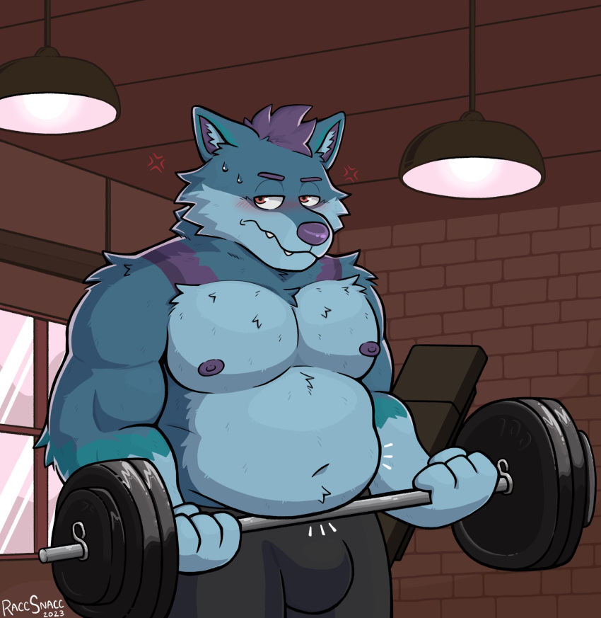 anthro barbell belly belly_overhang blue_body blue_fur blush brick_wall bulge canid canine canis clothed clothing embarrassed exercise fit_to_fat fur gym hair hi_res lights male mammal musclegut muscular muscular_anthro muscular_male navel nipples overweight overweight_anthro overweight_male purple_hair rodraccoon solo wall_(structure) weight_gain weightlifting weights window wolf workout yukon