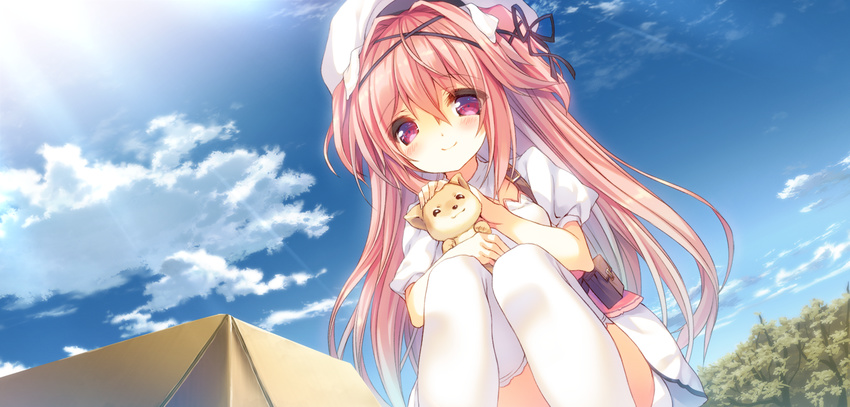 aisia_mayfield animal_ears beret black_ribbon blush box canine cardboard_box closed_mouth cloud day dog_ears dress dutch_angle female from_below game_cg hair_between_eyes hair_ribbon hat headpat karakara_(game) long_hair looking_at_viewer official_art outdoors p19 pink_eyes pink_hair plant pouch puffy_short_sleeves puffy_sleeves puppy ribbon short_sleeves sky smile squatting sunlight thighhighs two_side_up very_long_hair white_hat white_legwear