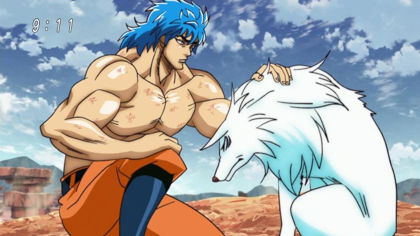 tagme toriko