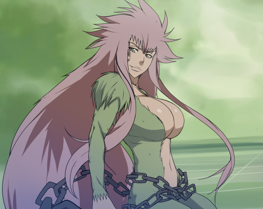 artist_request bleach bleach:_zanpakutou_ibun_hen breasts chains female fur green_eyes long_hair oerba_yun_fang pink_hair very_long_hair zabimaru