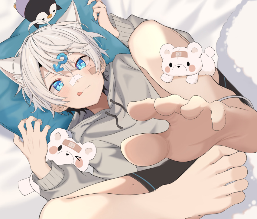 1boy absurdres animal_ears bandaid bandaid_on_face bandaid_on_nose barefoot black_hair blue_eyes cat_ears extra_ears grey_hoodie highres hood hood_down hoodie ibuki_tatsu indie_virtual_youtuber long_sleeves lying male_focus mars_symbol_hair_ornament multicolored_hair on_back short_hair soles stuffed_animal stuffed_penguin stuffed_toy tatsu_wan teddy_bear tongue tongue_out virtual_youtuber white_hair