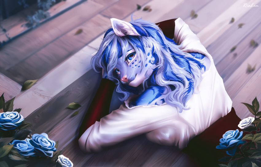 anthro blue_body blue_eyes blue_hair blue_rose blue_spots bracelet clothed clothing detailed_background felid female flower fur furniture grey_body grey_fur hair heart_eyes heart_symbol hi_res inside jewelry khajiit leopard long_hair looking_at_viewer looking_back looking_back_at_viewer m'ria_(maks_hunt) mammal markings microsoft on_table pantherine plant rose_(flower) rrrs shirt smile snow_leopard solo spots spotted_body spotted_fur table the_elder_scrolls topwear underbust_corset white_body white_fur