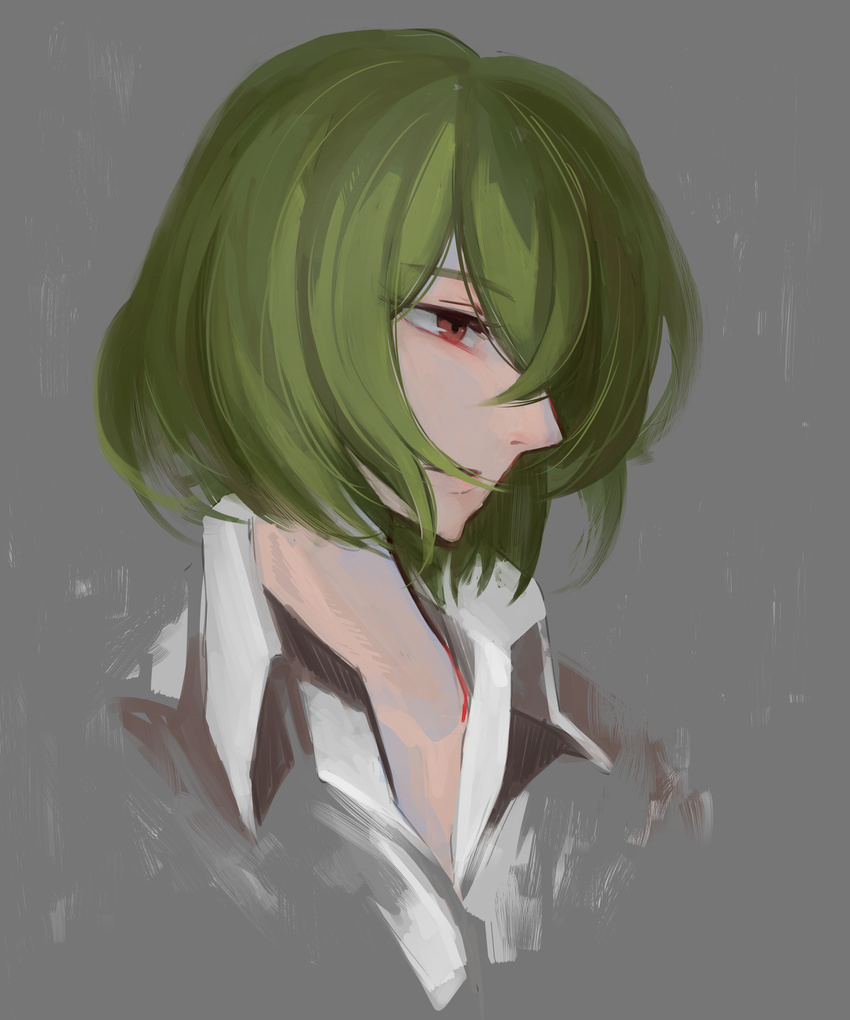 absurdres collared_shirt commentary_request female green_hair grey_background hair_over_one_eye half-closed_eye highres kageyosi kazami_yuuka nose parted_lips portrait profile red_eyes shirt short_hair simple_background solo touhou white_shirt