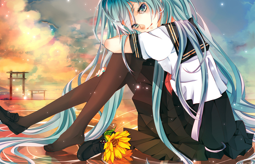 flowers hatsune_miku isagot pantyhose seifuku sunflower vocaloid