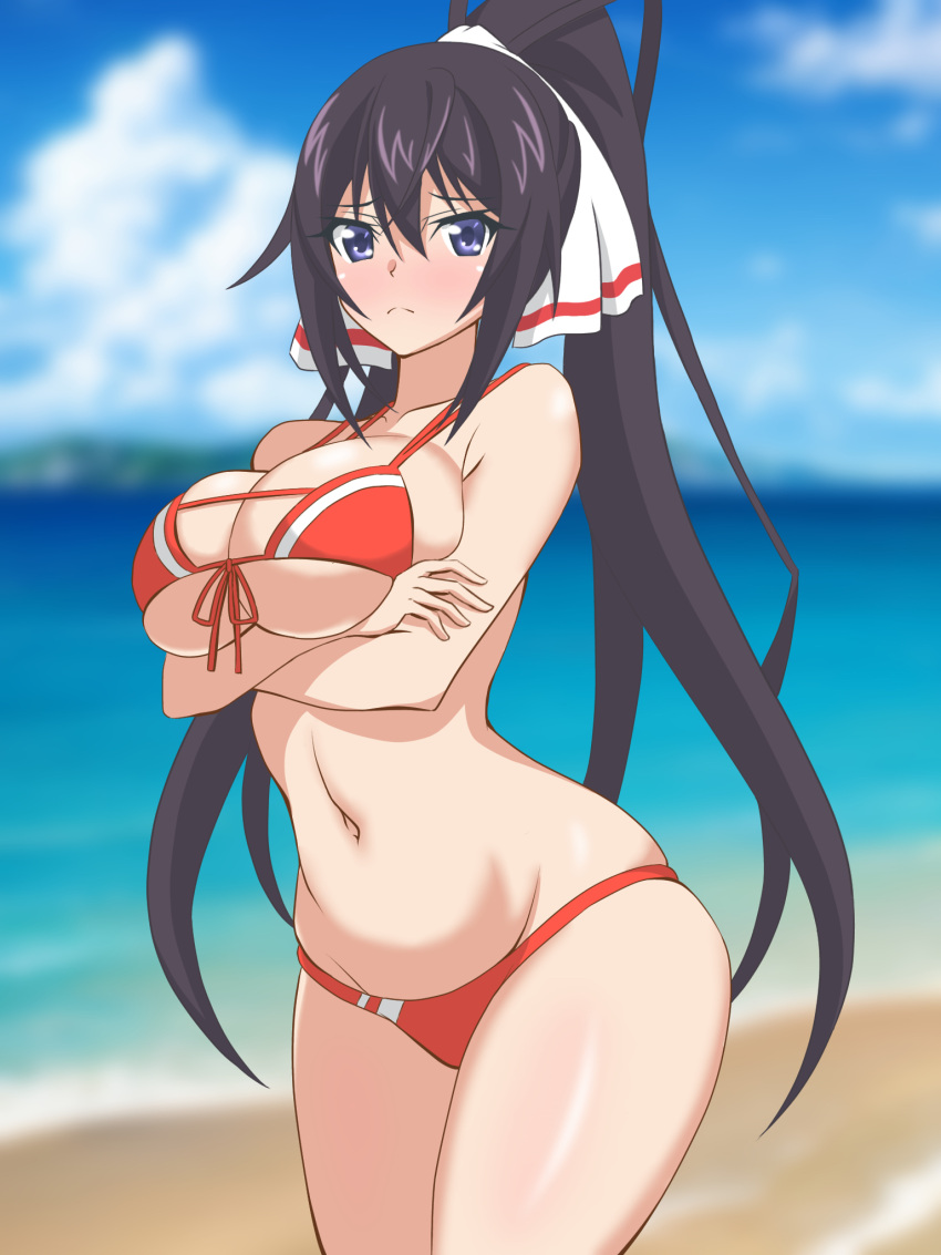 arms_under_breasts bare_arms beach bikini black_hair blue_eyes blue_sky blurry blurry_background blush breasts cleavage closed_mouth cloud collarbone commentary_request day female hair_between_eyes hata_(pixiv10403940) highres infinite_stratos large_breasts long_hair looking_at_viewer navel ocean outdoors ponytail red_bikini shinonono_houki sidelocks sky solo standing swimsuit very_long_hair